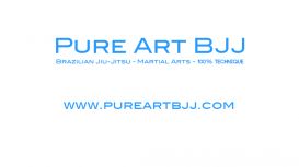 Pure Art BJJ Pure Art BJJ