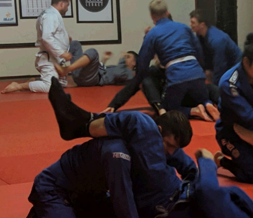 Adult BJJ Classes