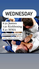 Andy Nugent's Academy of Martial Arts