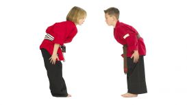 St Neots Children's Karate Academy