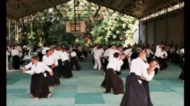 Fudoshin Aikido Cardiff