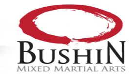 Bushin Mixed Martial Arts