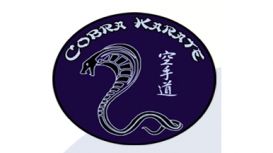 Cobra Karate
