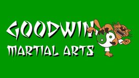 Goodwin Martial Arts