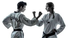 Taekwondo School Of Excellence