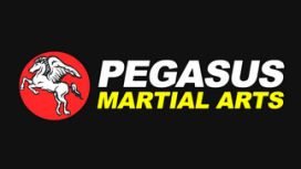 Pegasus Martial Arts