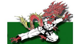 Red Dragon Karate Club