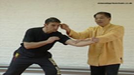 Wing Chun Kung Fu